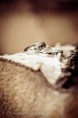 /album/fotogalerie/a10421520-550207275106203-4923540453527795531-n-jpg/
