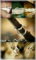 /album/fotogalerie/a10514708-550213535105577-3349641443631234608-n-jpg/